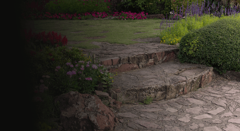 Professional outdoor services